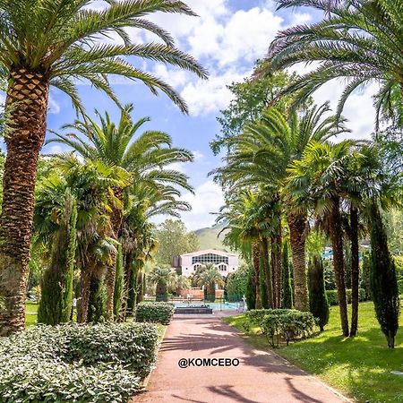 Appartement F2 A Cambo-Les-Bains Avec Piscine, Proche Thermes, Terrasse Et Parking - Fr-1-495-36 Εξωτερικό φωτογραφία