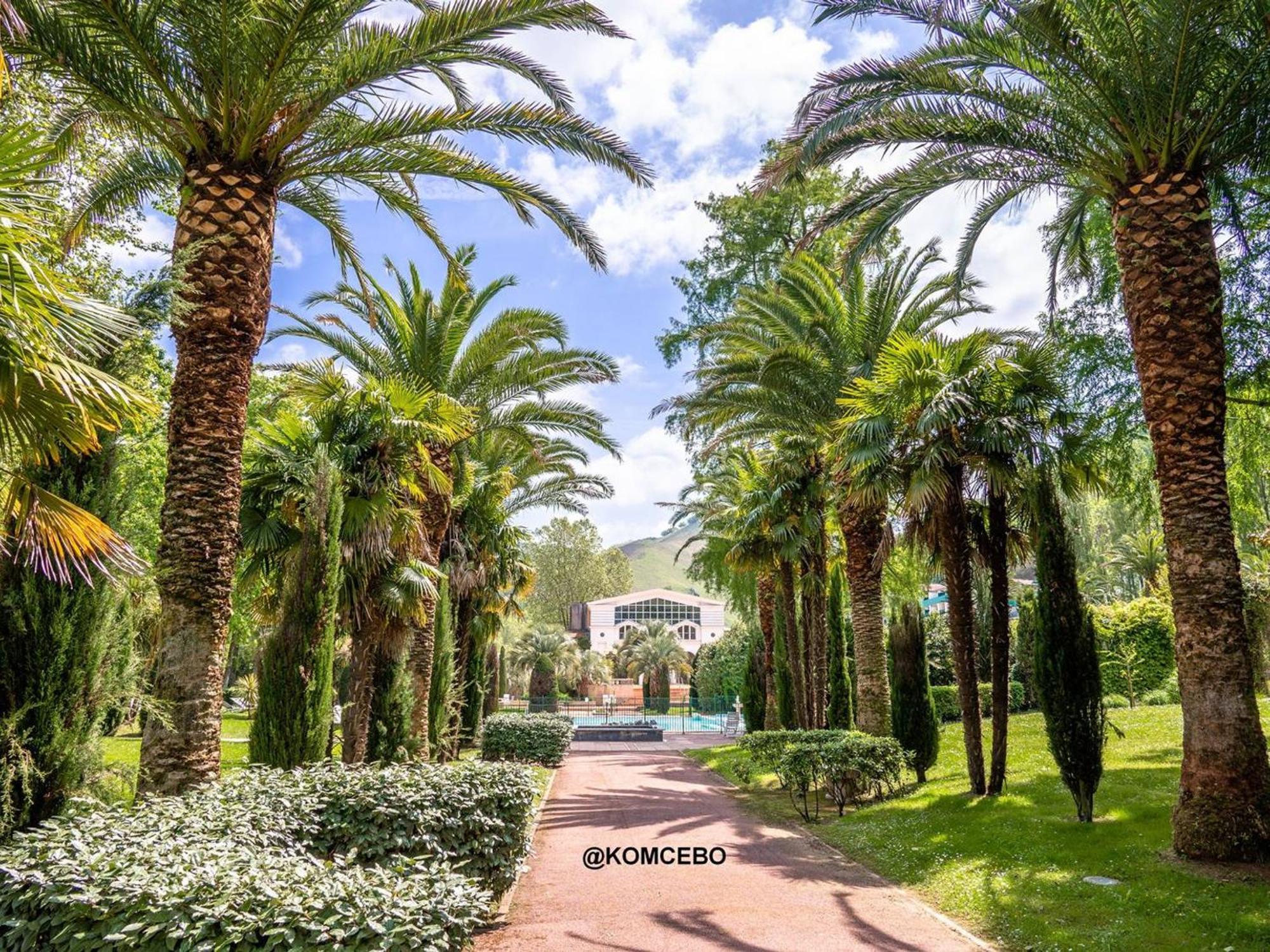 Appartement F2 A Cambo-Les-Bains Avec Piscine, Proche Thermes, Terrasse Et Parking - Fr-1-495-36 Εξωτερικό φωτογραφία